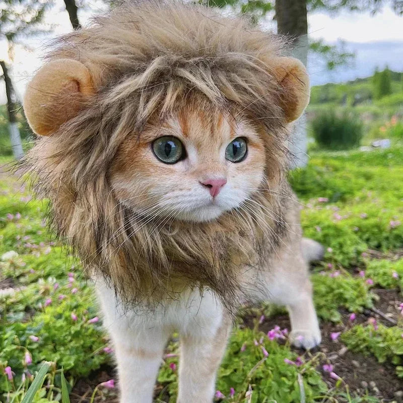 Lion Mane Pet Costume Hat