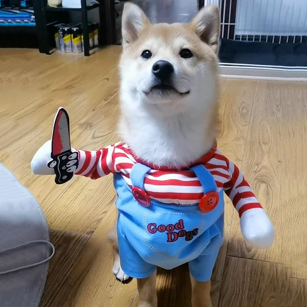 Adjustable Halloween Pet Costume