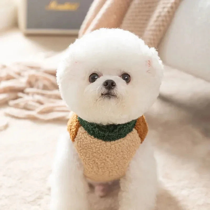 Brown Winter Dog Cardigan