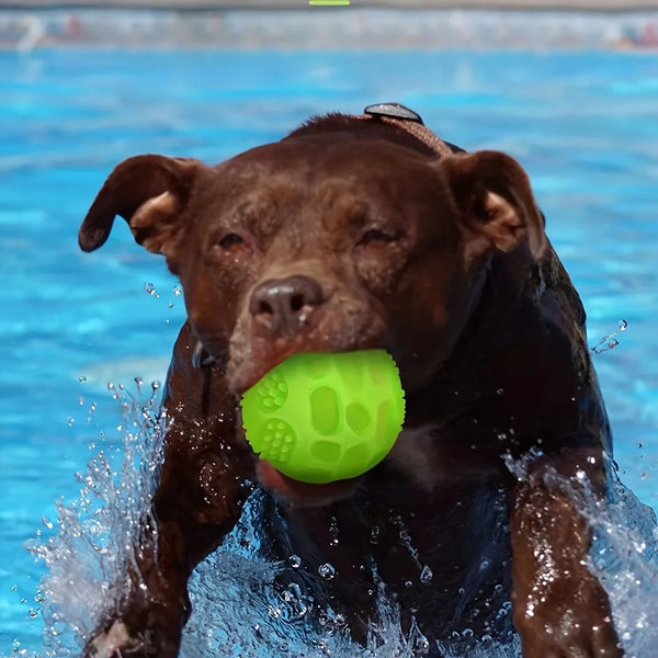 Glow Squeaky Dog Chew Ball