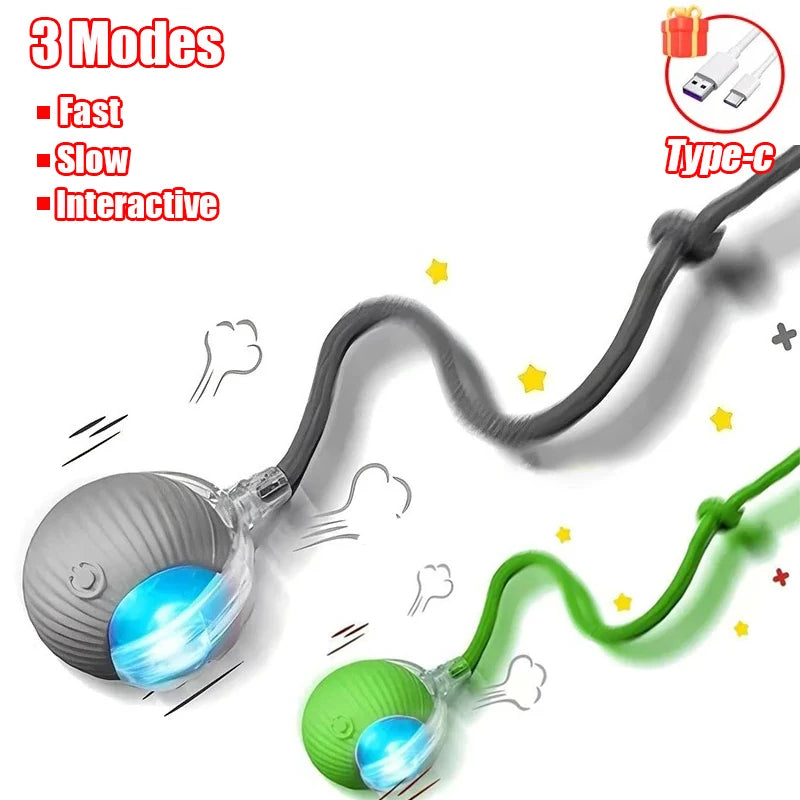 Rechargeable Rolling Tail Ball