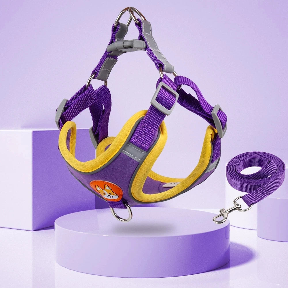 Reflective Step-In Dog Harness Set