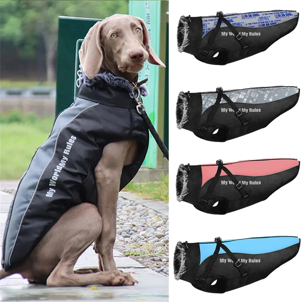 Fur Collar Dog Coat