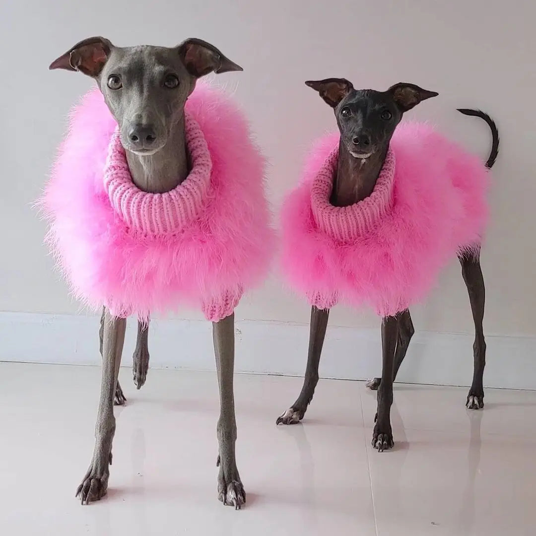 Fashion Cotton Dog Sweater