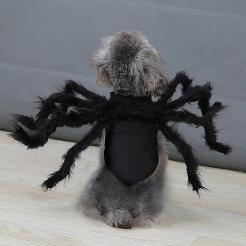 Spider Halloween Pet Cosplay Costume
