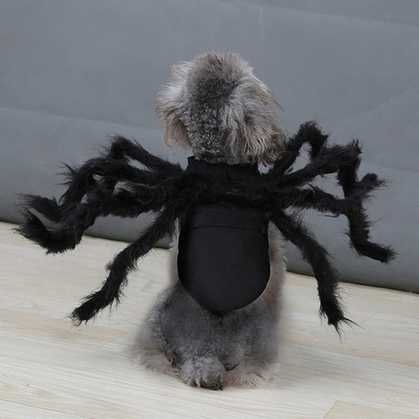 Spider Halloween Pet Cosplay Costume