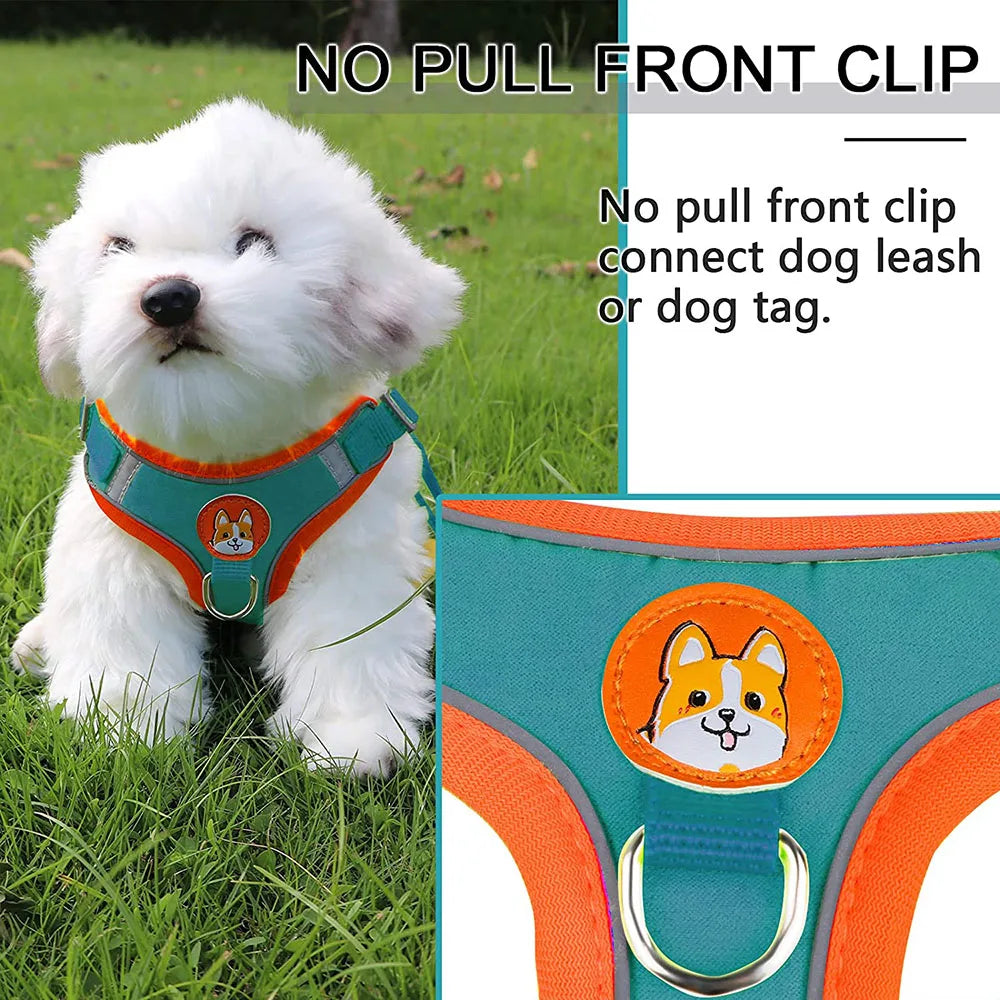 Reflective Step-In Dog Harness Set