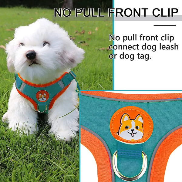 Reflective Step-In Dog Harness Set