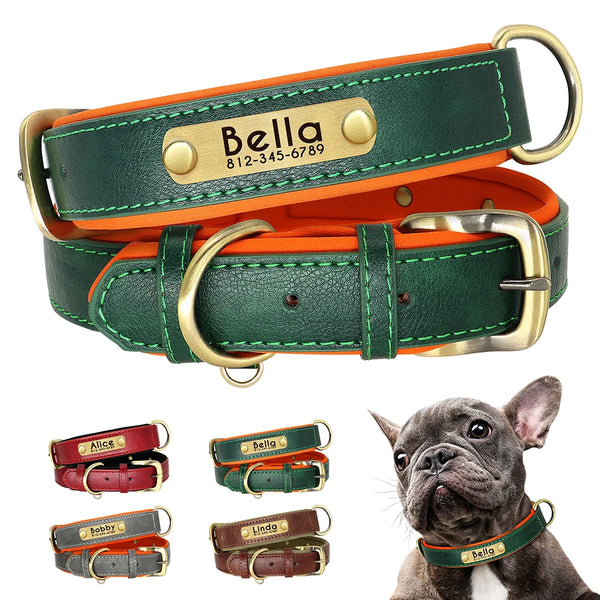 Engraved Padded Leather Collar