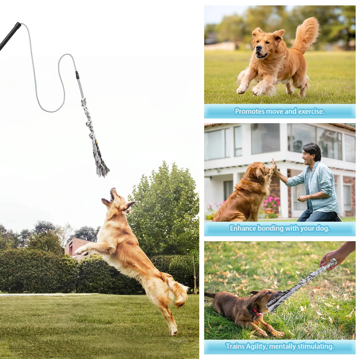 Heavy Duty Dog Flirt Pole