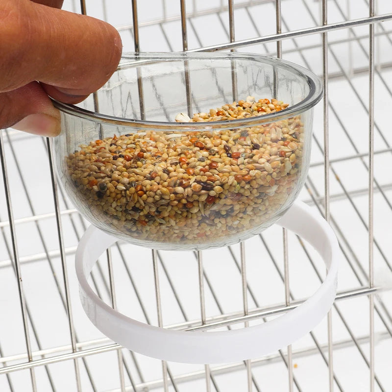 Transparent Hanging Bird Bowl