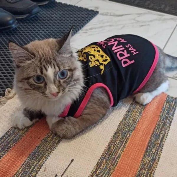 Princess Print Mesh Cat Vest