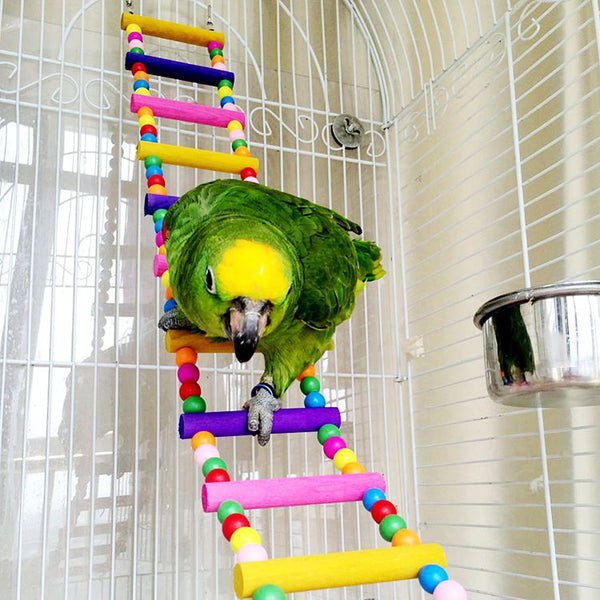 12-Step Bird Climbing Ladder