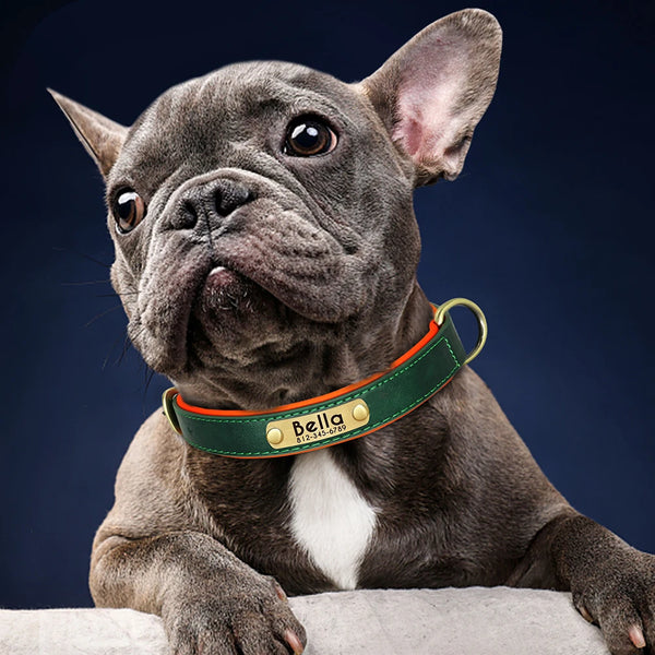 Engraved Padded Leather Collar