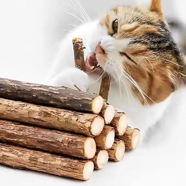 Natural Catnip Chew Sticks