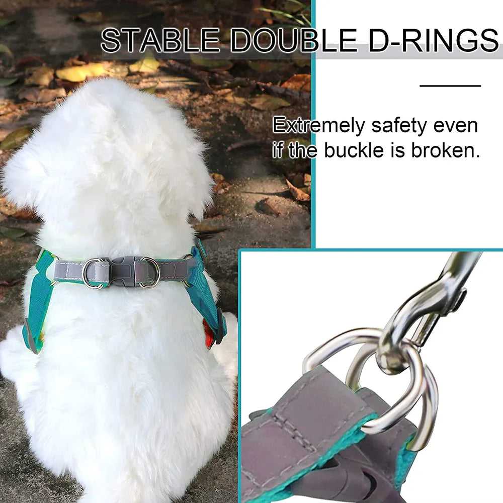 Reflective Step-In Dog Harness Set