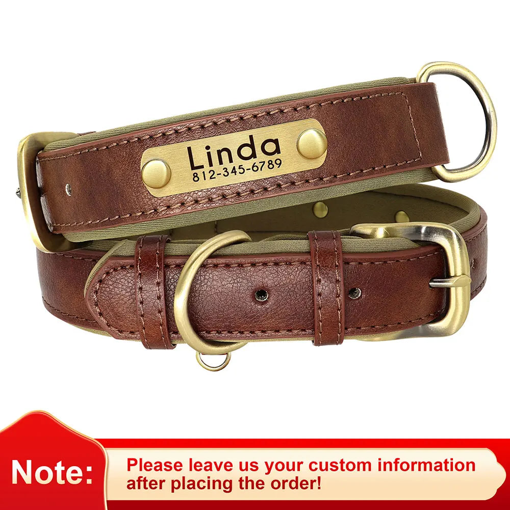 Engraved Padded Leather Collar