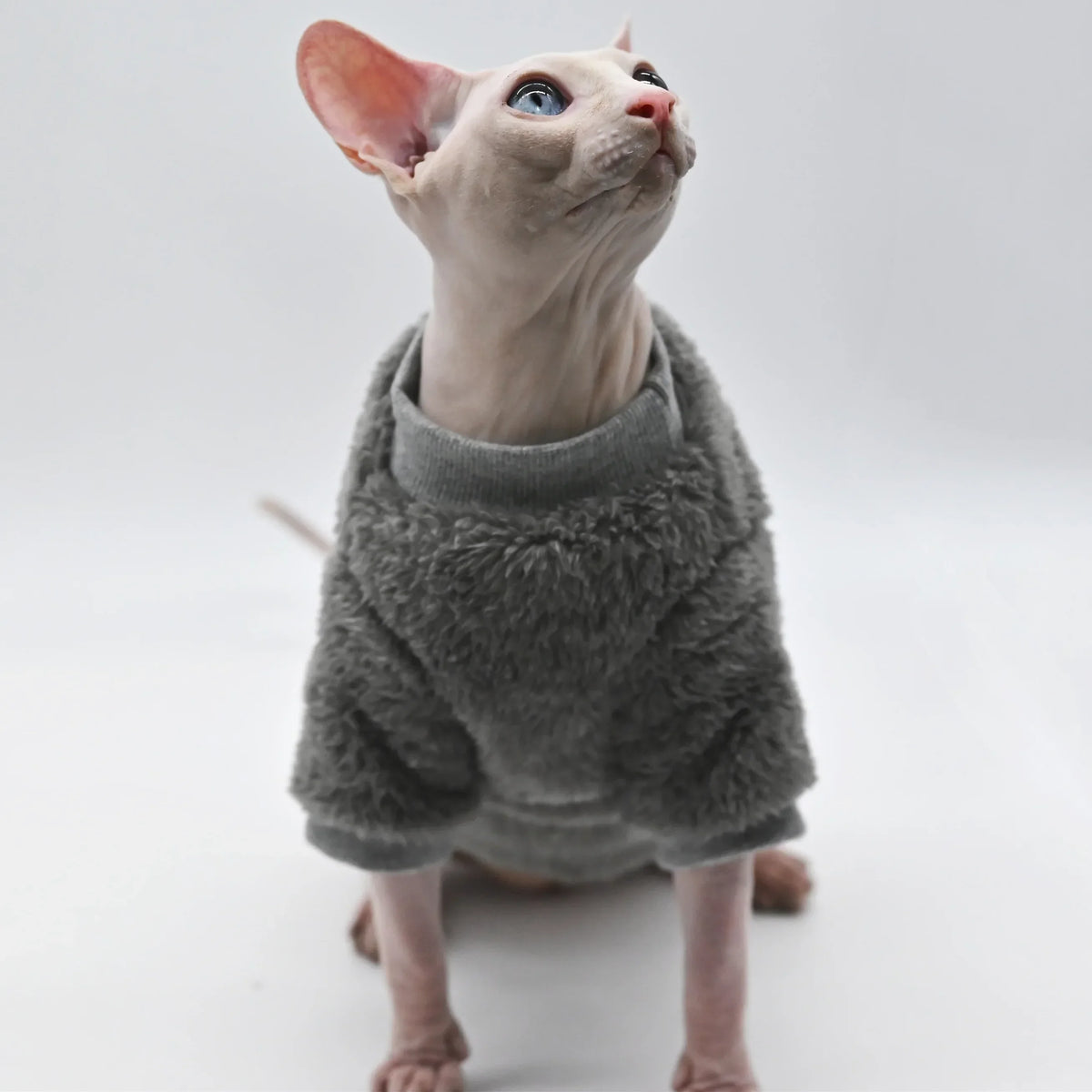 Double-Sided Fluffy Sphynx Cat Jacket
