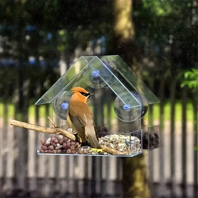 Acrylic Window Bird Feeder