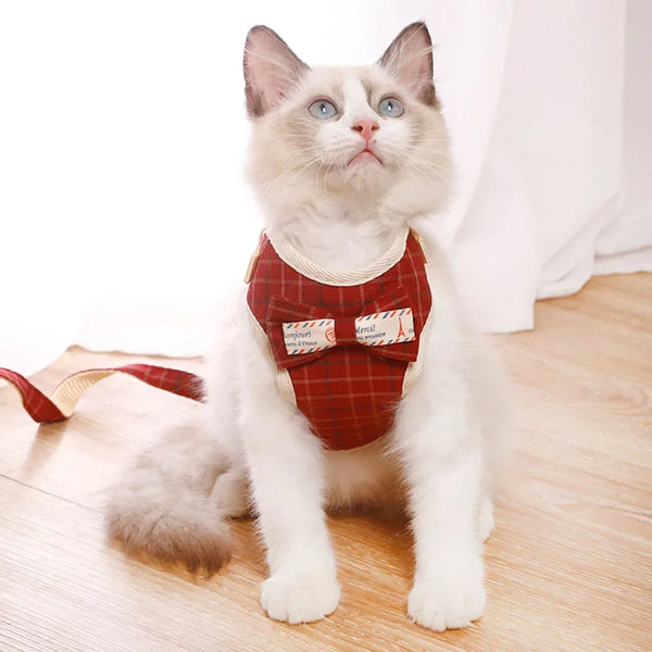 Padded Mesh Harness Set