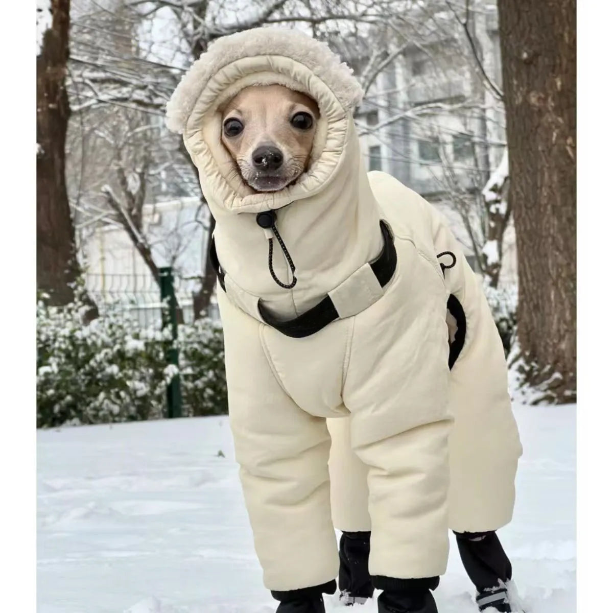 Thickened Cotton Dog Jacket