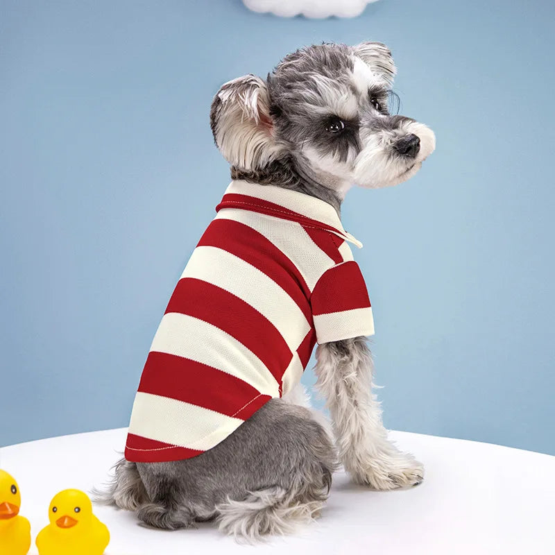 Casual Summer Dog Polo Shirt