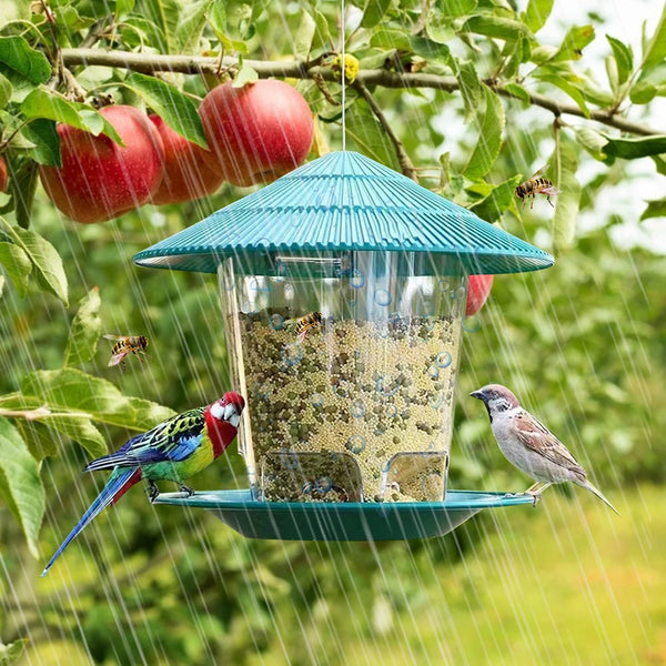 Hanging Outdoor Bird Feeder
