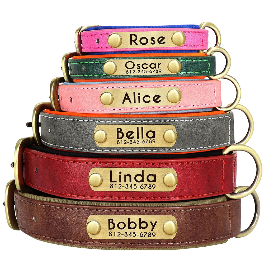 Engraved Padded Leather Collar