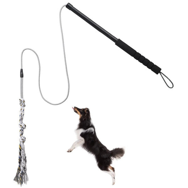 Heavy Duty Dog Flirt Pole