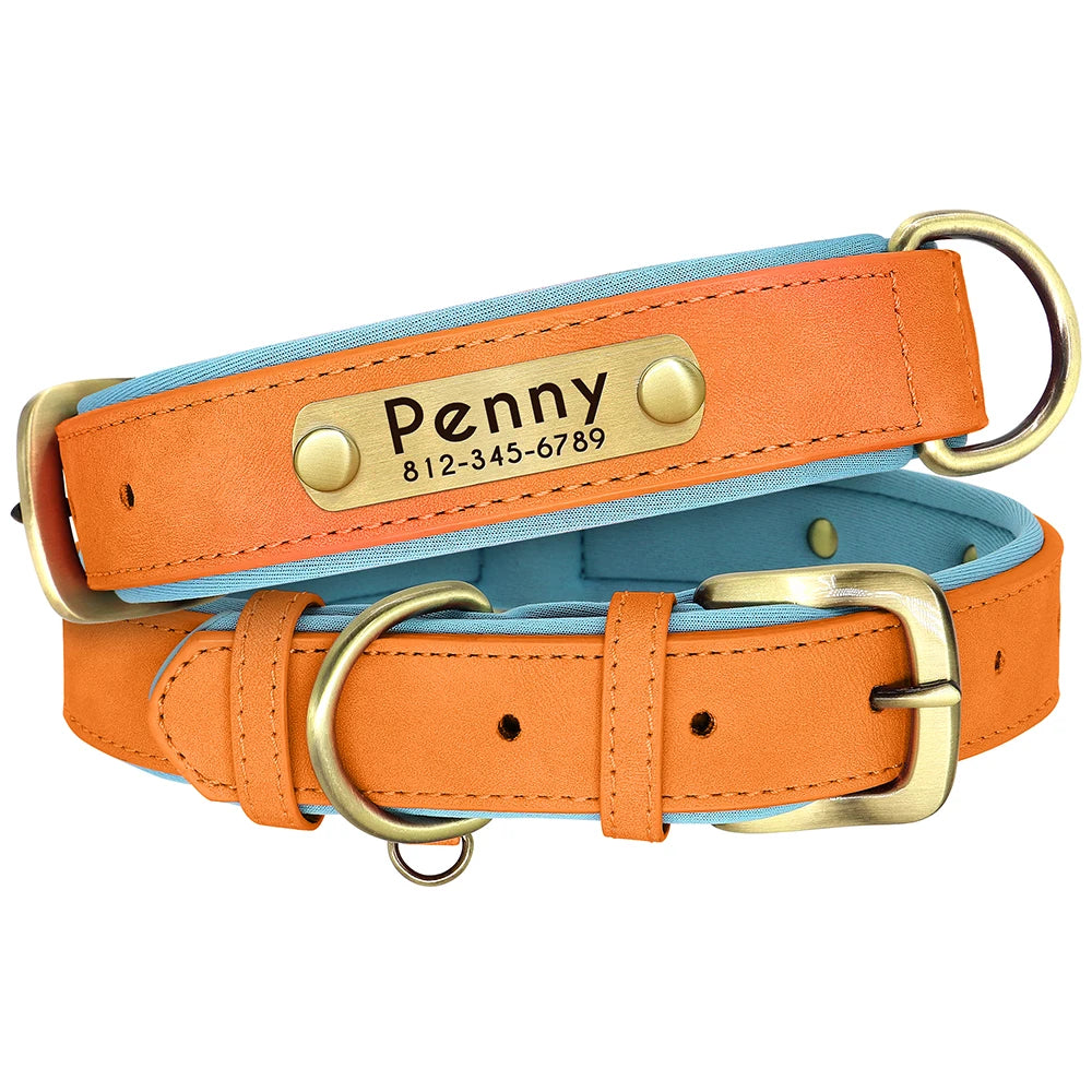 Engraved Padded Leather Collar