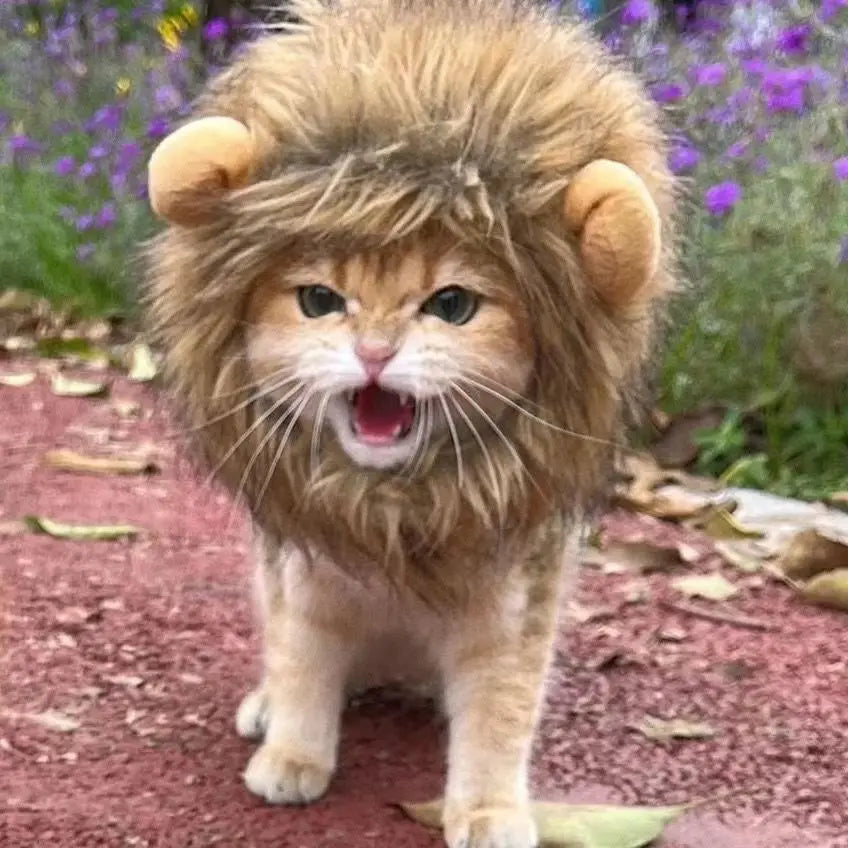 Lion Mane Pet Costume Hat