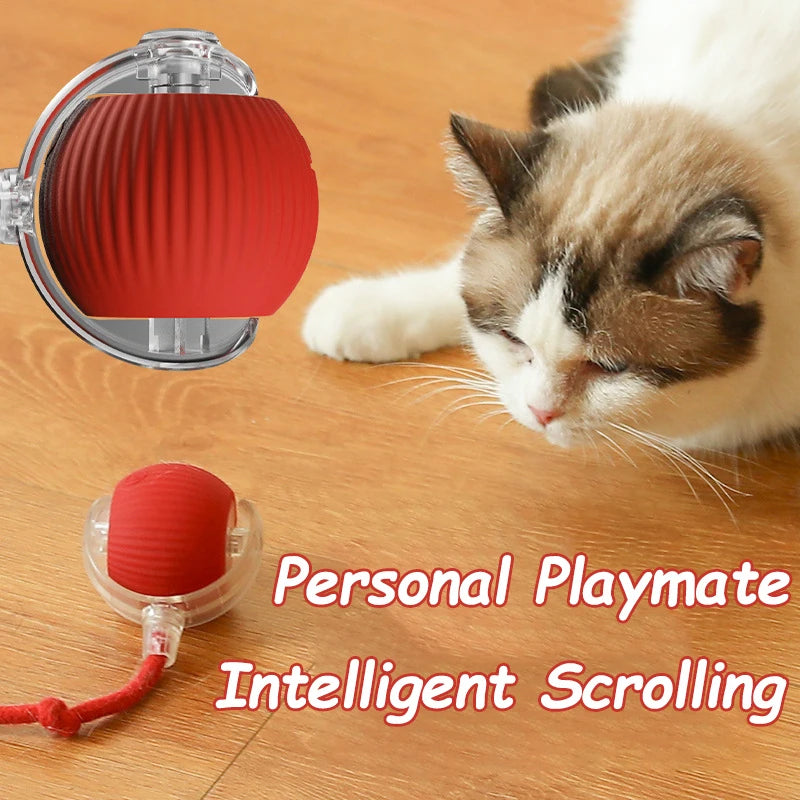 Rechargeable Rolling Tail Ball