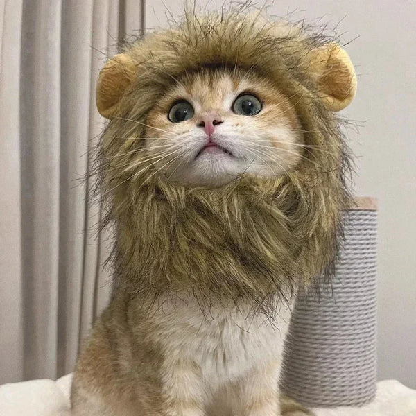Lion Mane Pet Costume Hat