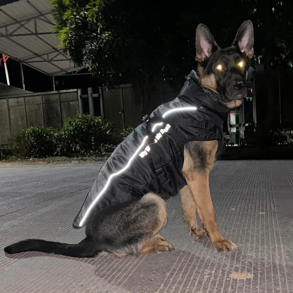 Fur Collar Dog Coat