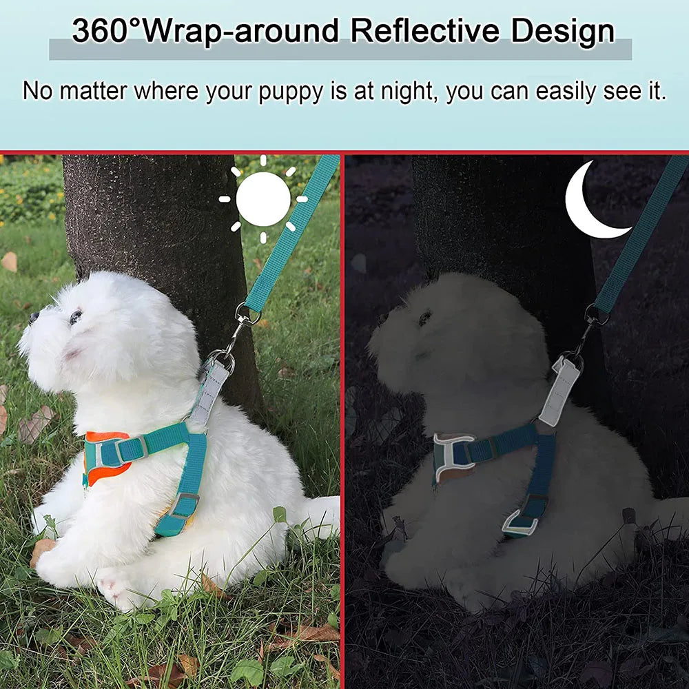 Reflective Step-In Dog Harness Set