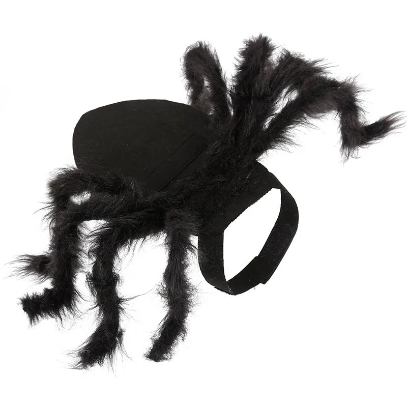 Spider Halloween Pet Cosplay Costume