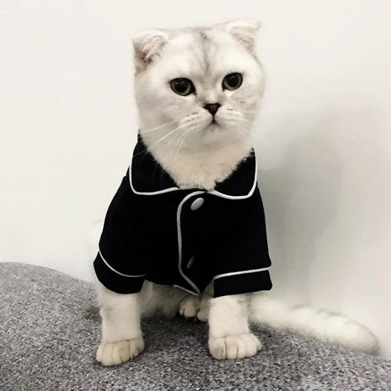Christmas Sphynx Cat Hoodie Suit