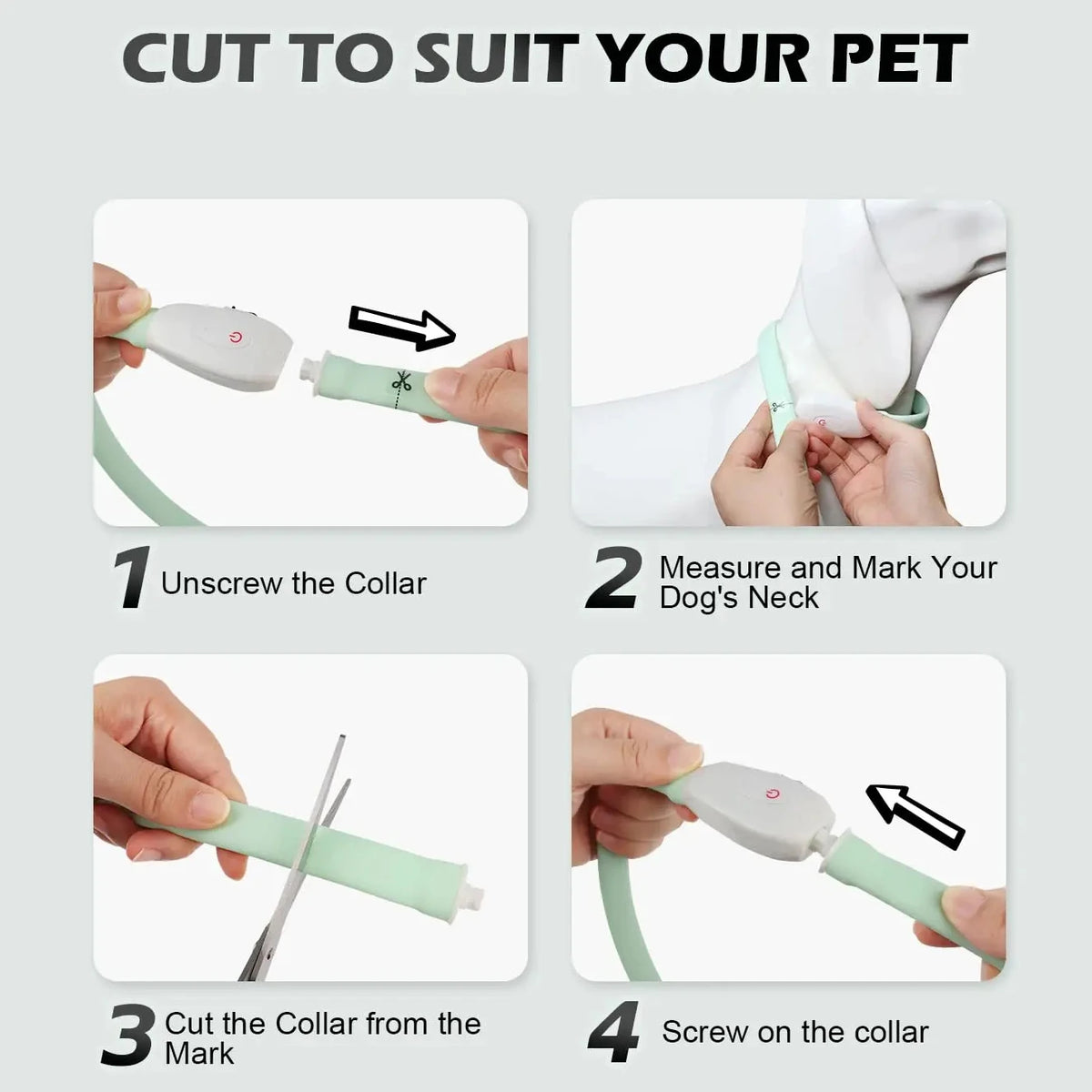 Rechargeable LED Dog Collar