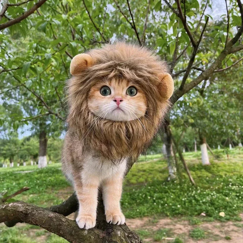 Lion Mane Pet Costume Hat