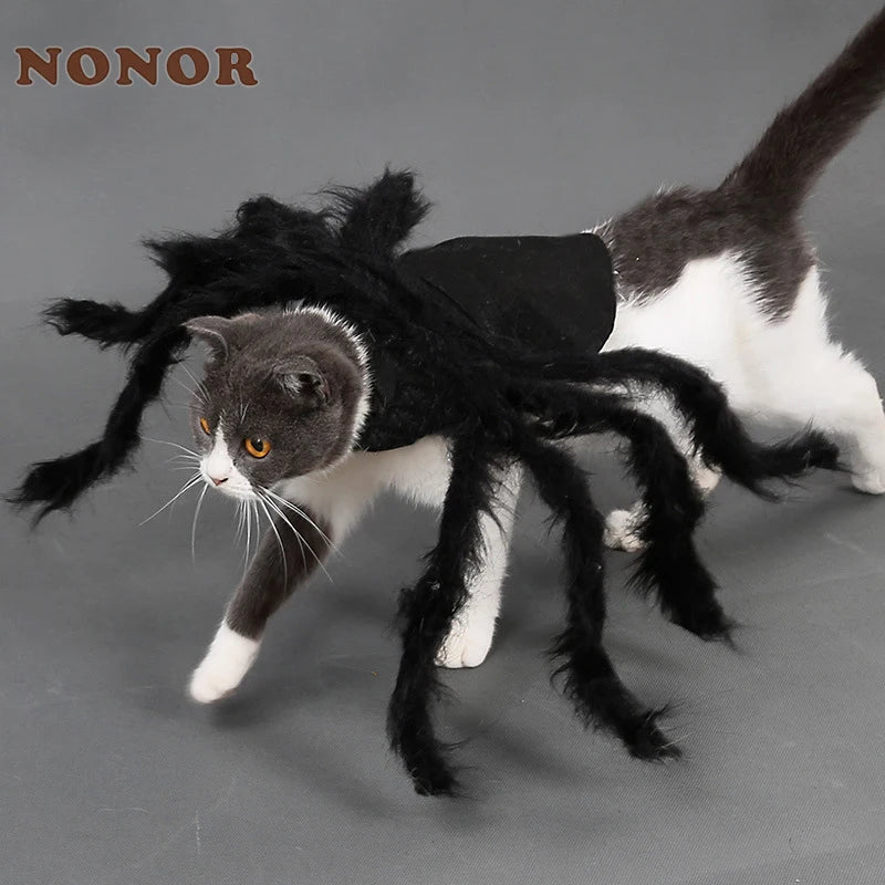 Spider Halloween Pet Cosplay Costume