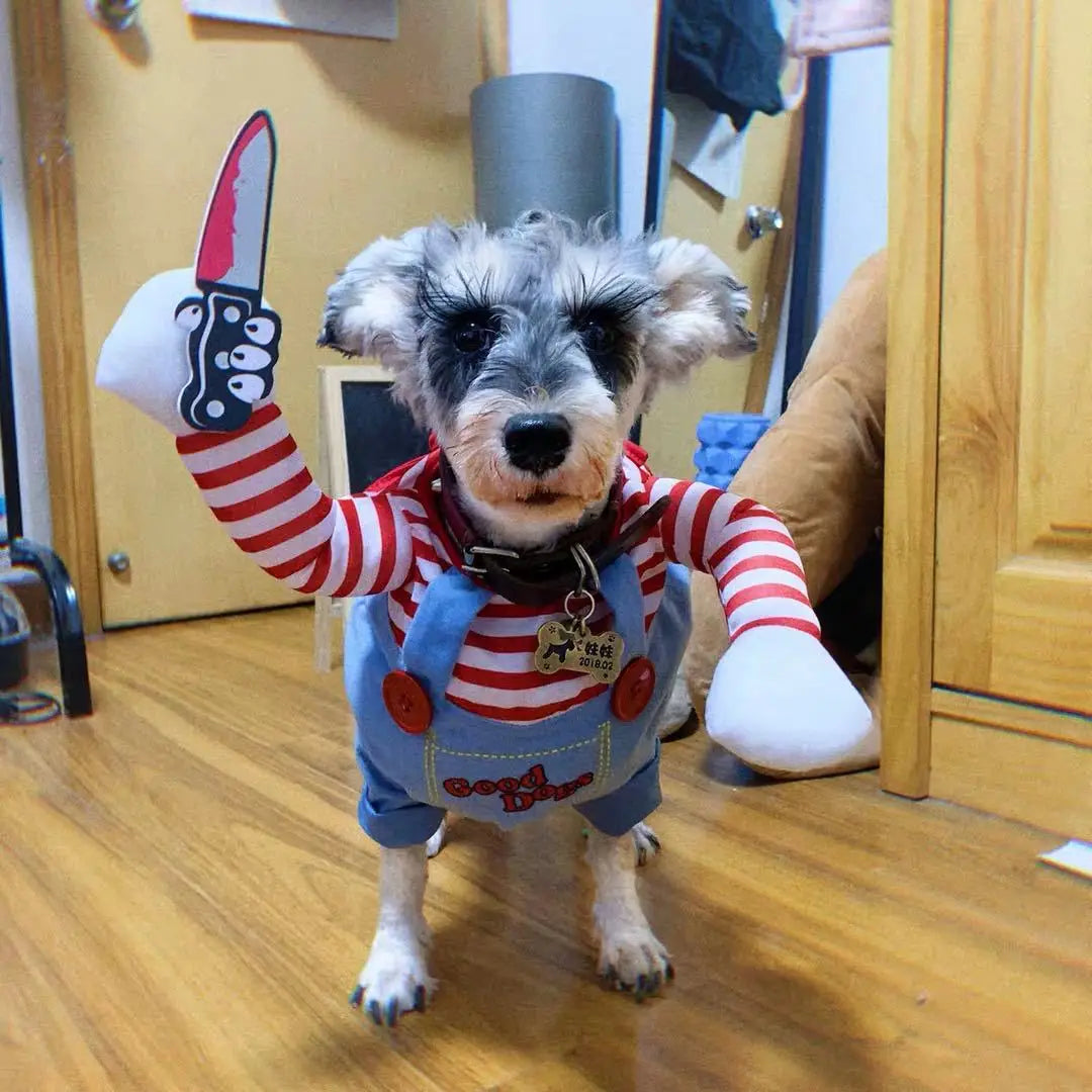 Adjustable Halloween Pet Costume