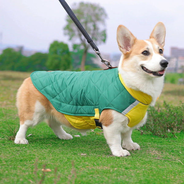 Waterproof Padded Dog Vest