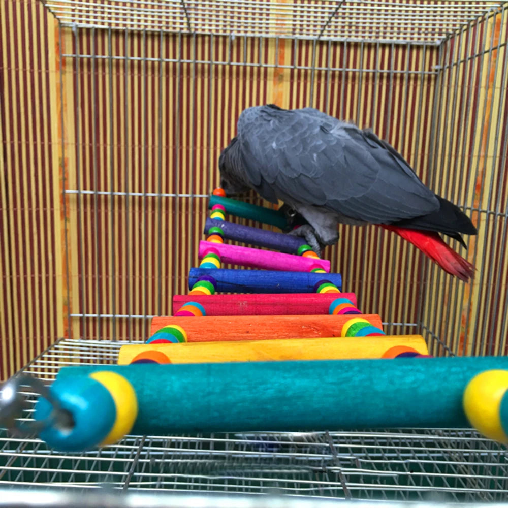 12-Step Bird Climbing Ladder