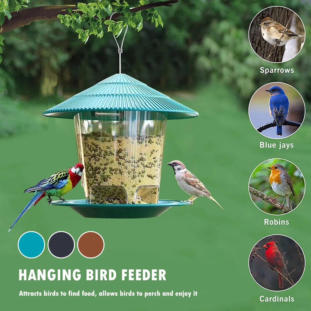 Hanging Outdoor Bird Feeder