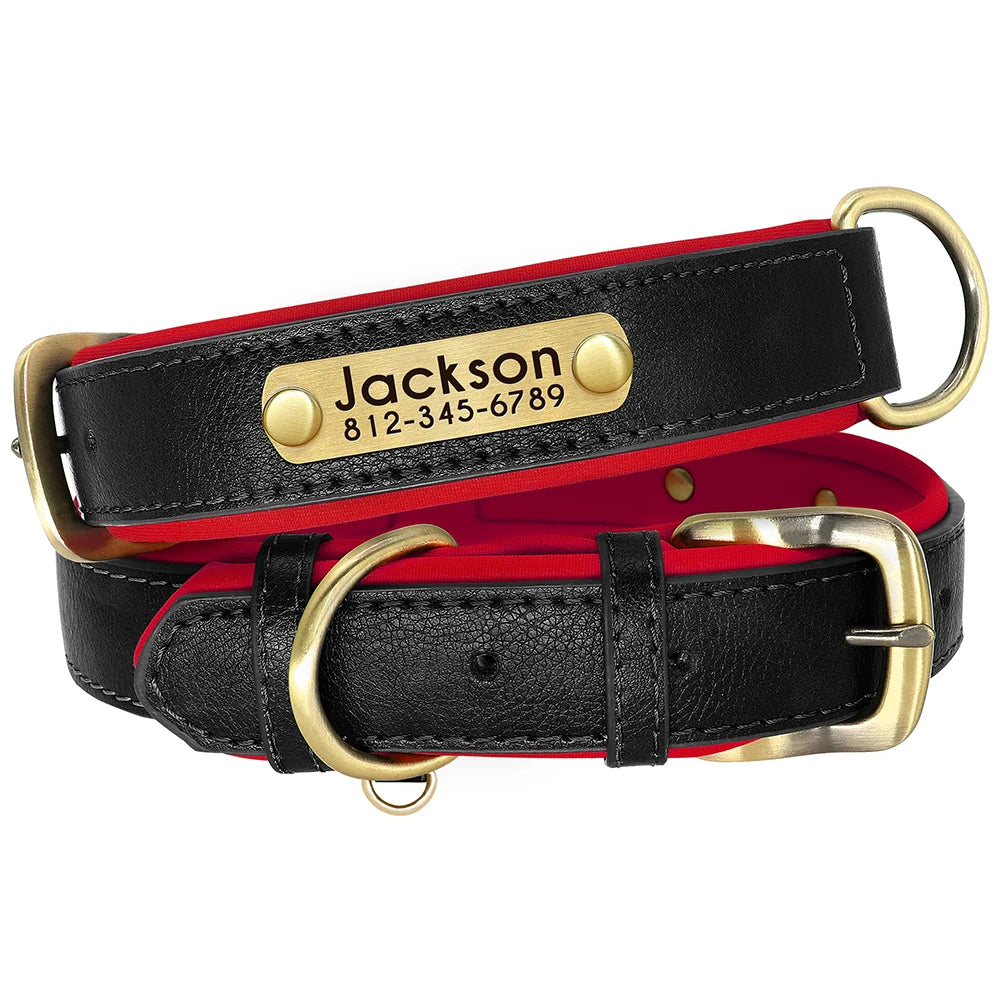 Engraved Padded Leather Collar