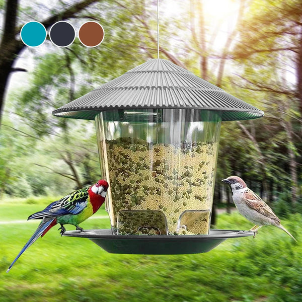 Hanging Outdoor Bird Feeder