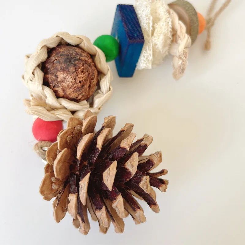 Pinecone Rope Chew Toy
