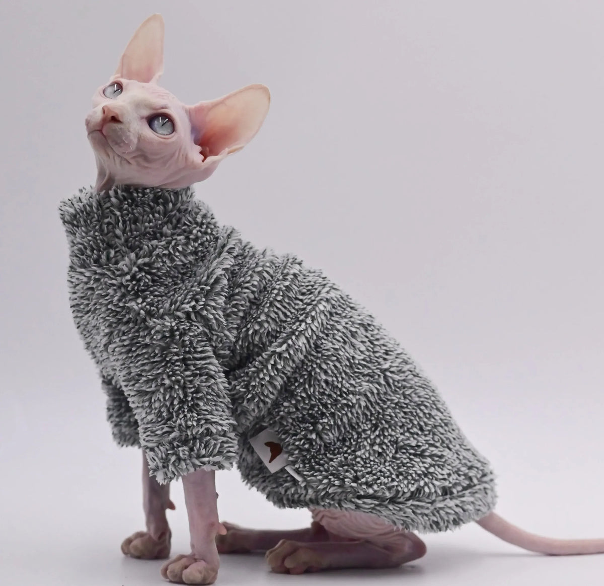 Double-Sided Fluffy Sphynx Cat Jacket