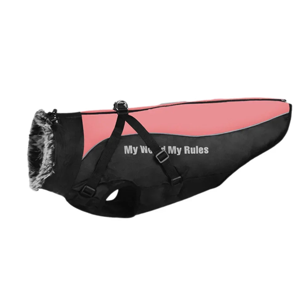 Fur Collar Dog Coat
