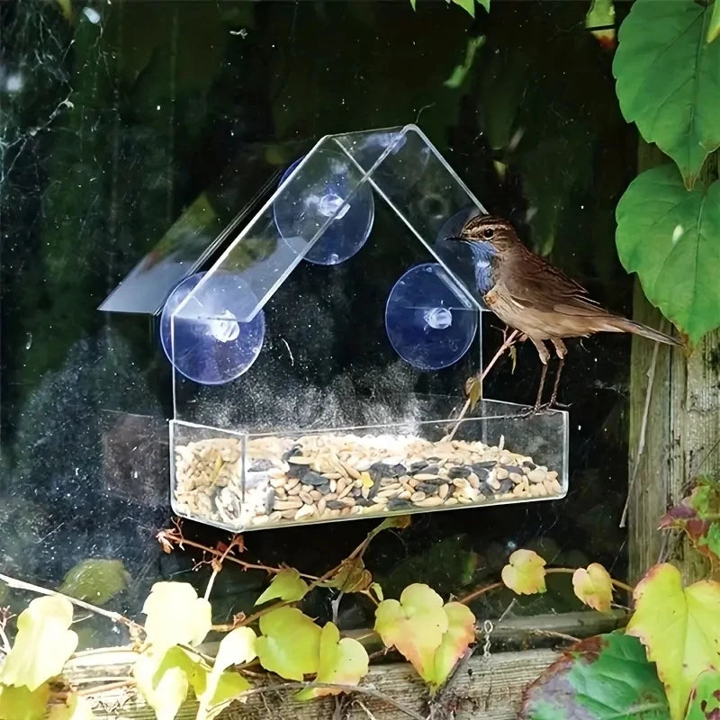 Acrylic Window Bird Feeder